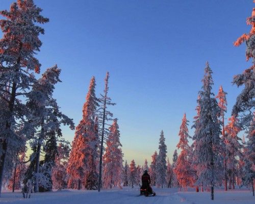 Avventure a  Rovaniemi