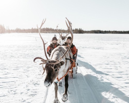 Avventure a  Rovaniemi