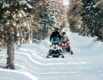 SAFARI IN MOTOSLITTA -