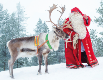 SAFARI DI BABBO NATALE -