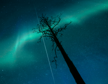 ALLA RICERCA DELL'AURORA BOREALE 