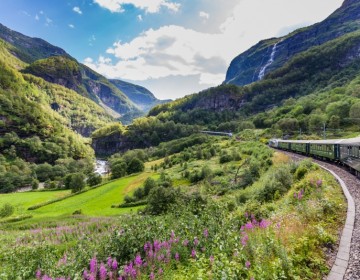 NO-DRIVE: TRENI + MINI CROCIERE AI FIORDI