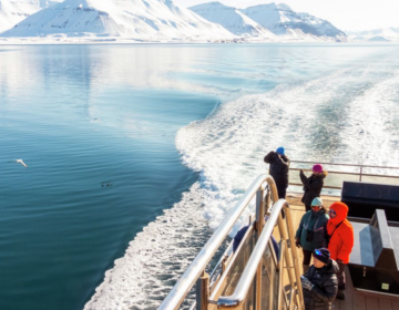 CROCIERA TRA I GHIACCIAI - 