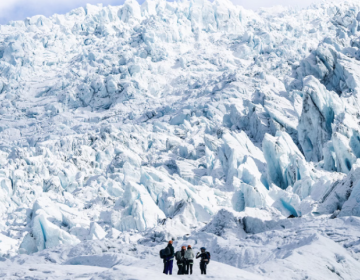 NO-DRIVE ISLANDA CIRCOLARE 