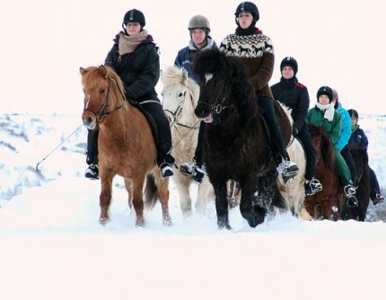PASSEGGIATA A CAVALLO