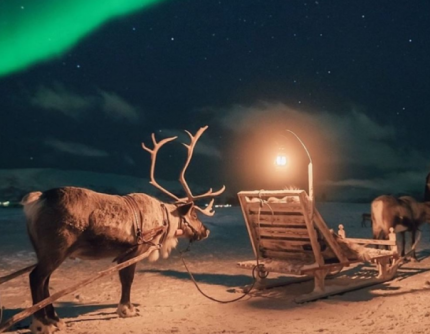 CENA AURORA IN SLITTA CON LE RENNE