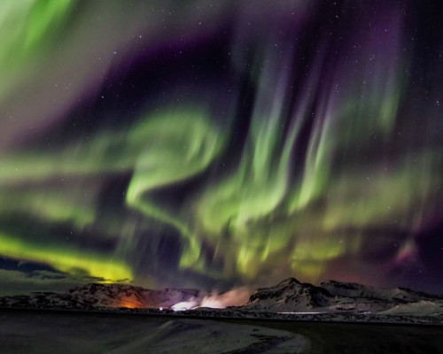 CACCIA ALL'AURORA IN BUS