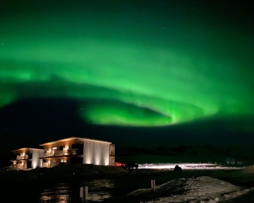 CACCIA ALL'AURORA IN BUS