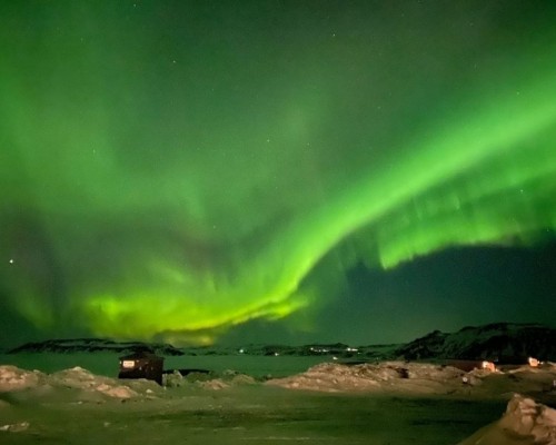 CACCIA ALL'AURORA IN BUS