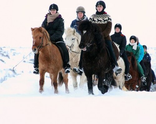 PASSEGGIATA A CAVALLO