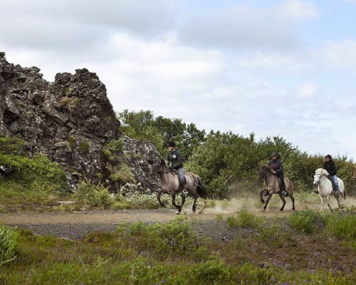 PASSEGGIATA A CAVALLO