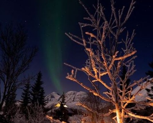 CENA AURORA CAMPO SAMI -