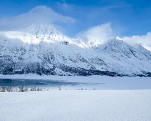 ARCTIC FJORD TOUR  -