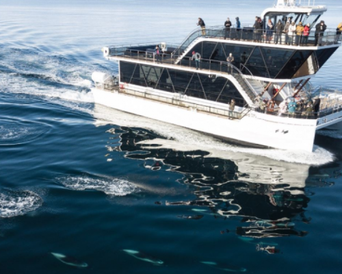 ARCTIC FJORD CRUISE -