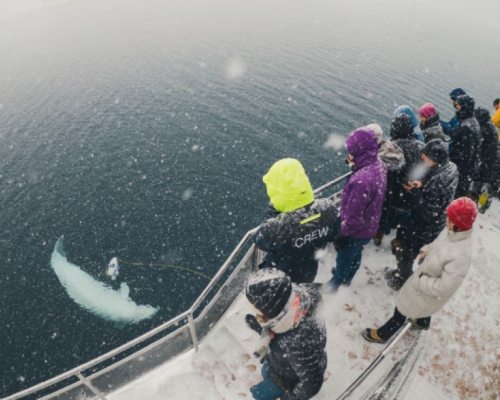 ARCTIC FJORD CRUISE -