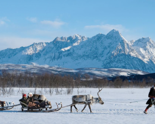 SAFARI IN SLITTA CON LE RENNE