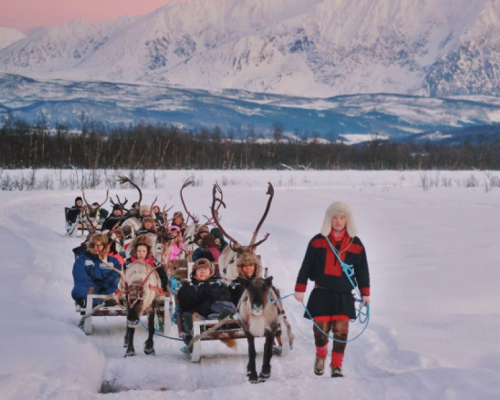SAFARI IN SLITTA CON LE RENNE