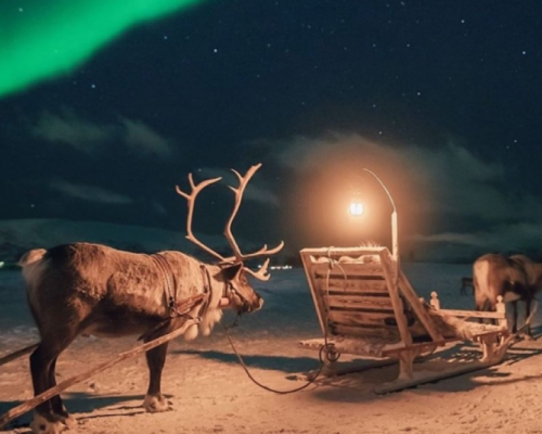 CENA AURORA IN SLITTA CON LE RENNE