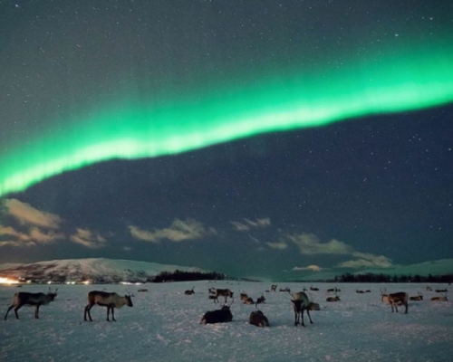 CENA AURORA IN SLITTA CON LE RENNE
