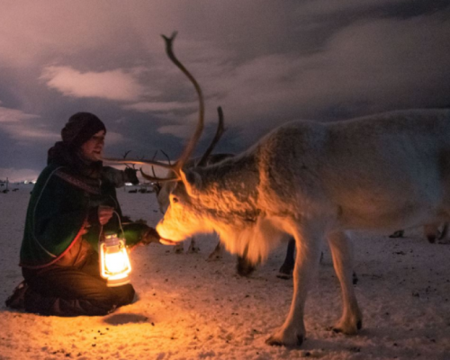CENA AURORA IN SLITTA CON LE RENNE
