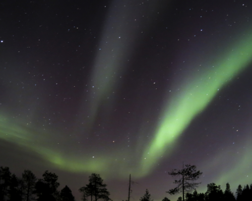 AURORA IN MOTOSLITTA -