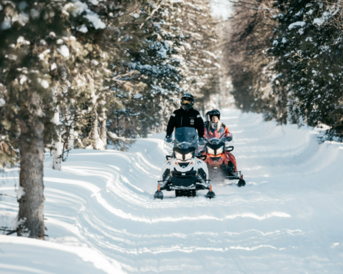 SAFARI IN MOTOSLITTA -