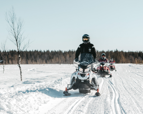 SAFARI DI BABBO NATALE -