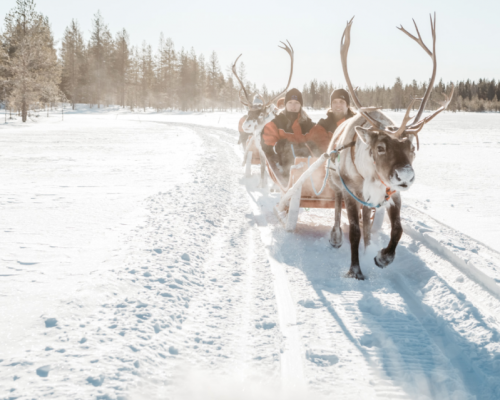 SAFARI DI BABBO NATALE -