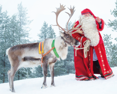 SAFARI DI BABBO NATALE -