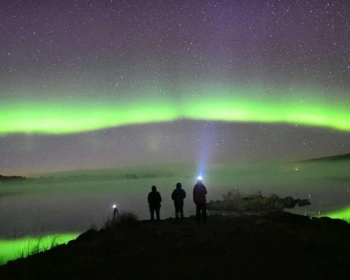 CACCIA ALL'AURORA CON BBQ LAPPONE