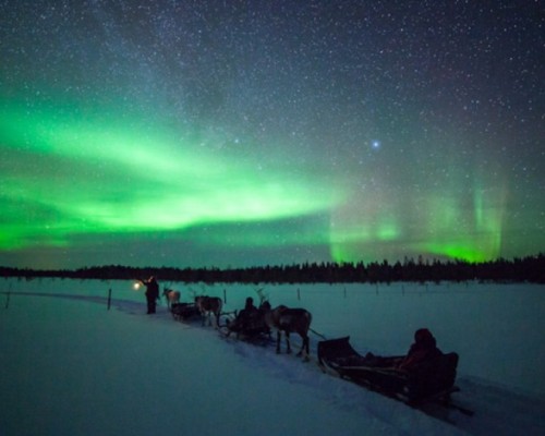 CACCIA  ALL' AURORA BOREALE CON LE RENNE