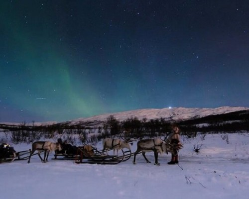CACCIA  ALL' AURORA BOREALE CON LE RENNE