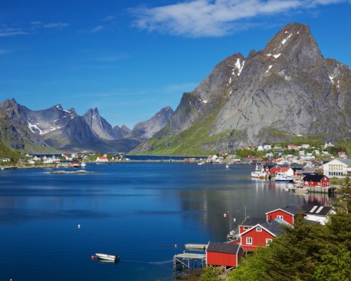 WHALE SAFARI LOFOTEN -