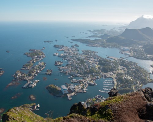 WHALE SAFARI LOFOTEN -