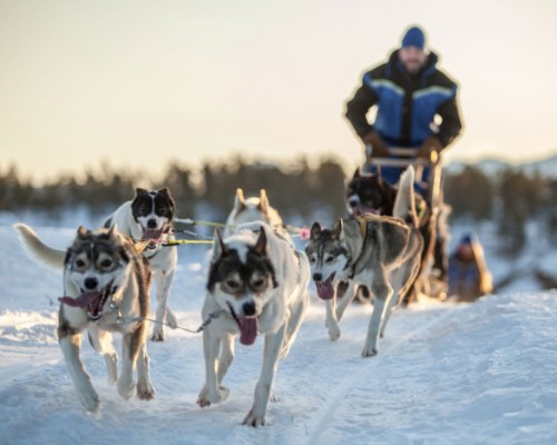 AURORE E AVVENTURE A TROMSO