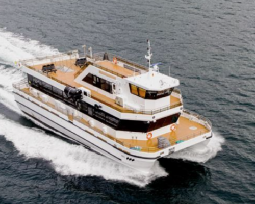 SILENT WHALE WATCHING