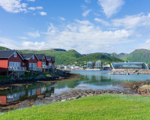 Grandi Fiordi e Lofoten