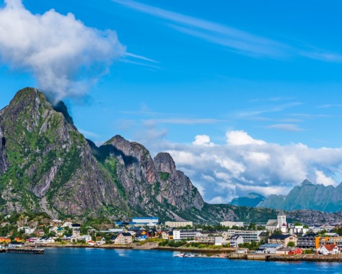WHALE SAFARI LOFOTEN -