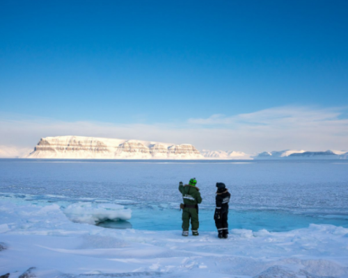 SAFARI IN MOTOSLITTA NEI FIORDI SELVAGGI -