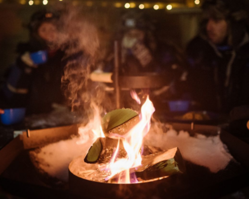 SLITTA TRAINATA DA CANI ARTICA -