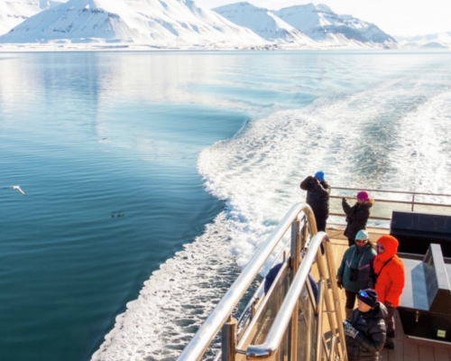 CROCIERA TRA I GHIACCIAI -