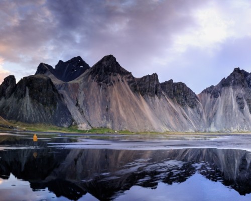 FIORDI ORIENTALI E WHALE SAFARI