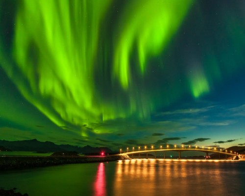 LUCI ARTICHE BOREALI