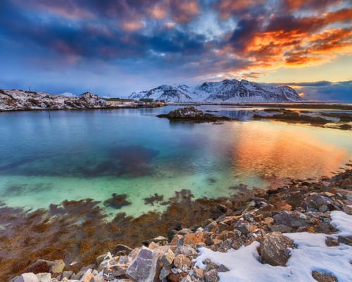 LUCI ARTICHE BOREALI