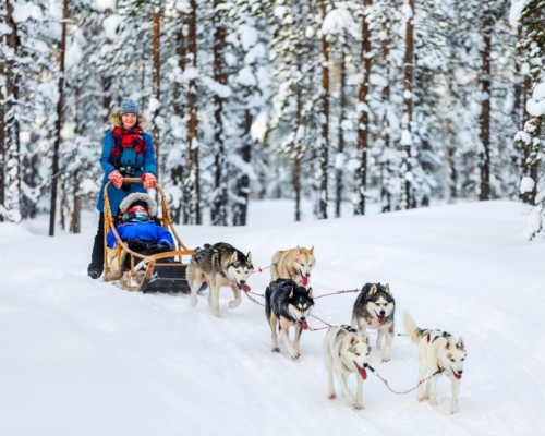DOPPIO CAPODANNO IN LAPPONIA
