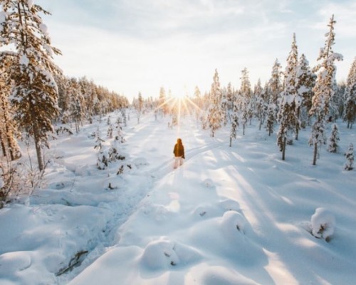 MAGICO NATALE A ROVANIEMI