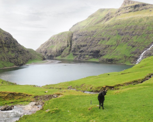 ISOLE FAROE,TERRE INESPLORATE